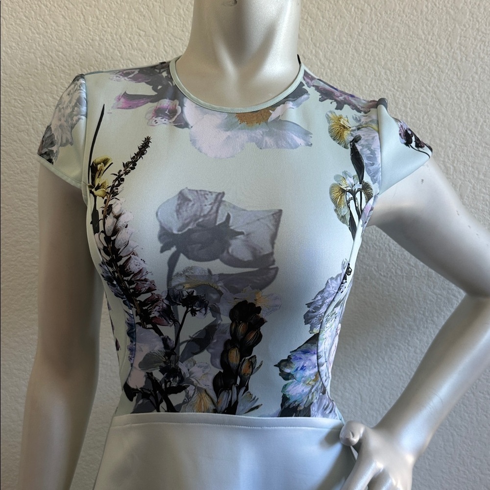 Ted Baker Faythe Blue Torchlit Floral Print Skater Dress View 4